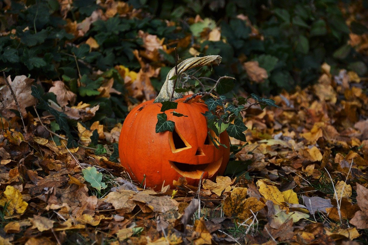 Halloweenské dílničky 25. 10.  Halloweenské dílničky 25. 10.
