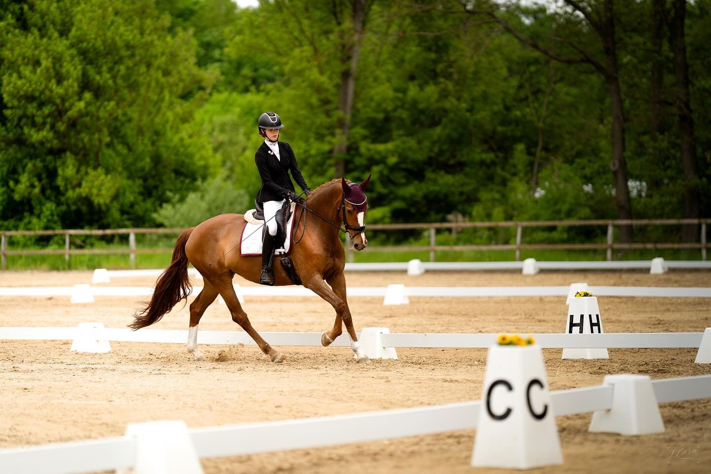 Drezurní závody 2. 5. 