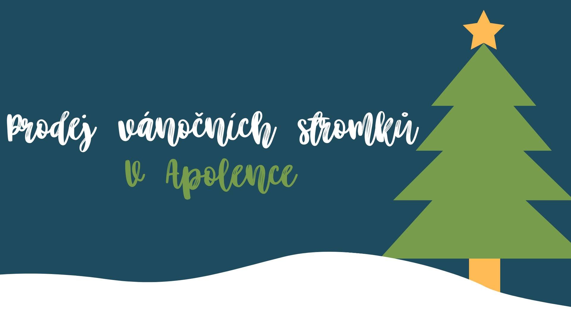 255385612_6843625002329170_1362030823332224458_n 255385612_6843625002329170_1362030823332224458_n